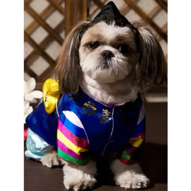 ITSDOG - Pet Male Hanbok Hat - ITSDOG - Pet Accesories - Harumio