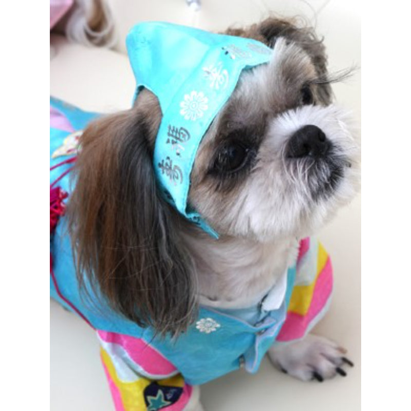 ITSDOG - Pet Male Hanbok Hat