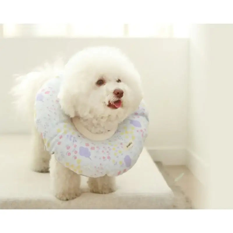 ITSDOG - Pet Organic Neck Collar - ITSDOG - Pet Accesories - Harumio