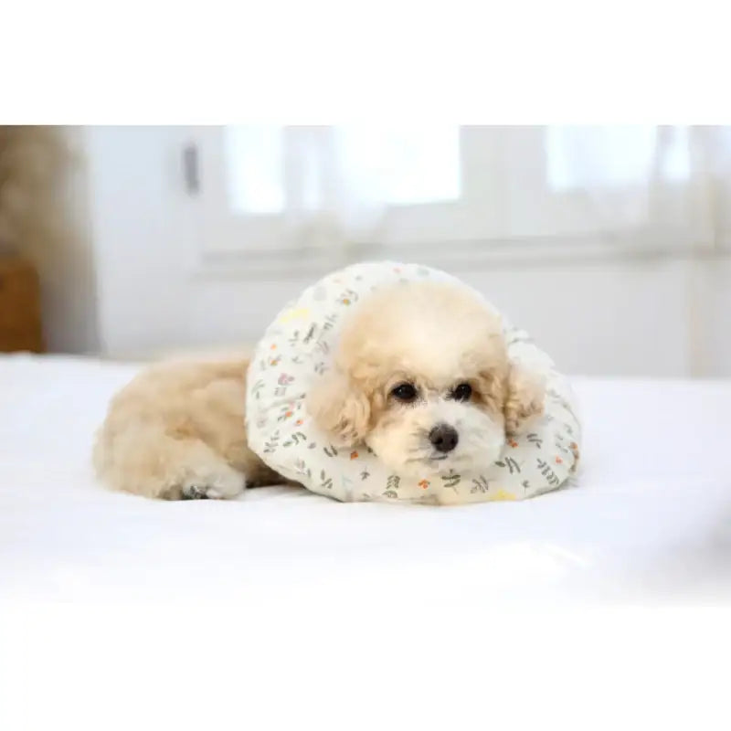 ITSDOG - Pet Organic Neck Collar - ITSDOG - Pet Accesories - Harumio