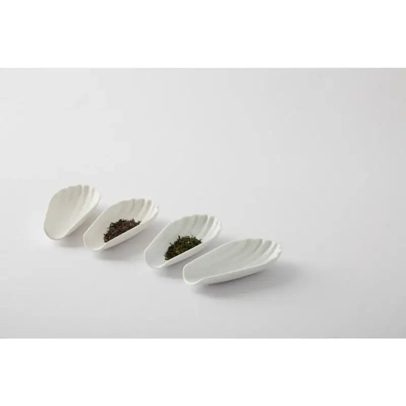 Chaora - Seashell Tea Scoop - Chaora - Tableware - Harumio