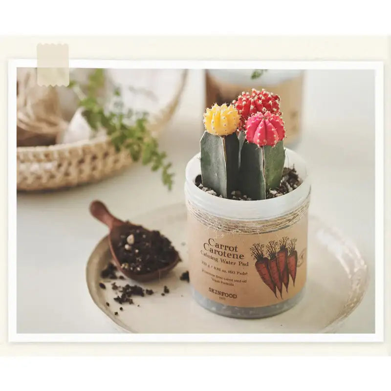 SKINFOOD - Carrot Carotene Calming Water Pad Special Set - SKINFOOD - Face Pads - Harumio