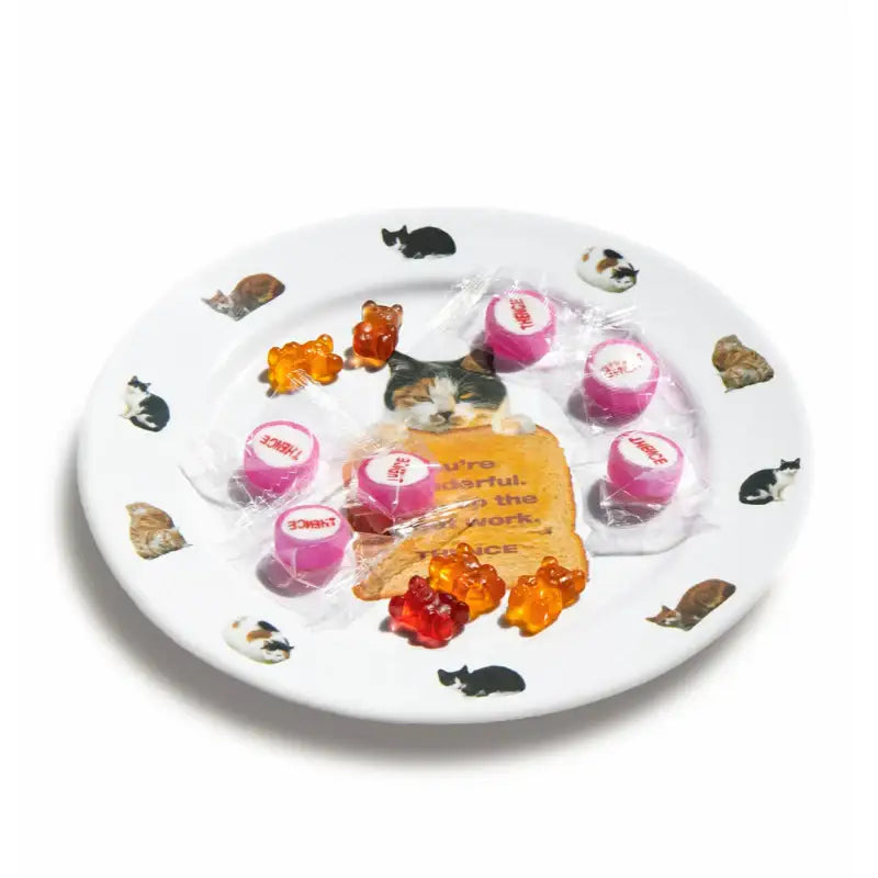 THENCE - Plate - THENCE - Plates - Harumio