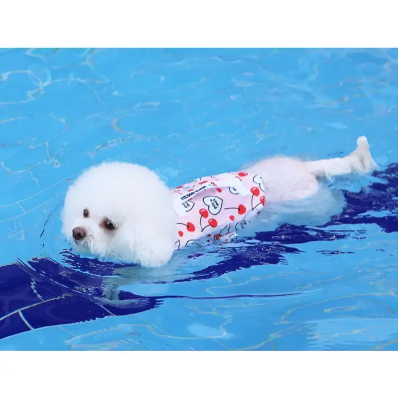ITSDOG - Pet Life Jacket - ITSDOG - Pet Clothes - Harumio