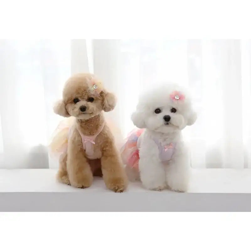 ITSDOG - Pet Ballerina Dress - ITSDOG - Pet Clothes - Harumio
