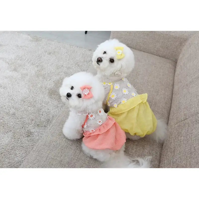 ITSDOG - Pet Daisy Balloon T-Shirt - ITSDOG - Pet Clothes - Harumio