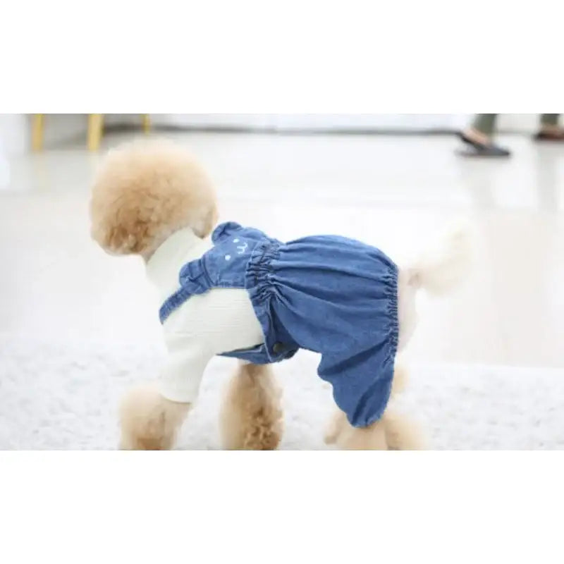 ITSDOG - Pet Denim Washing Pumpkin Pants - ITSDOG - Pet Clothes - Harumio