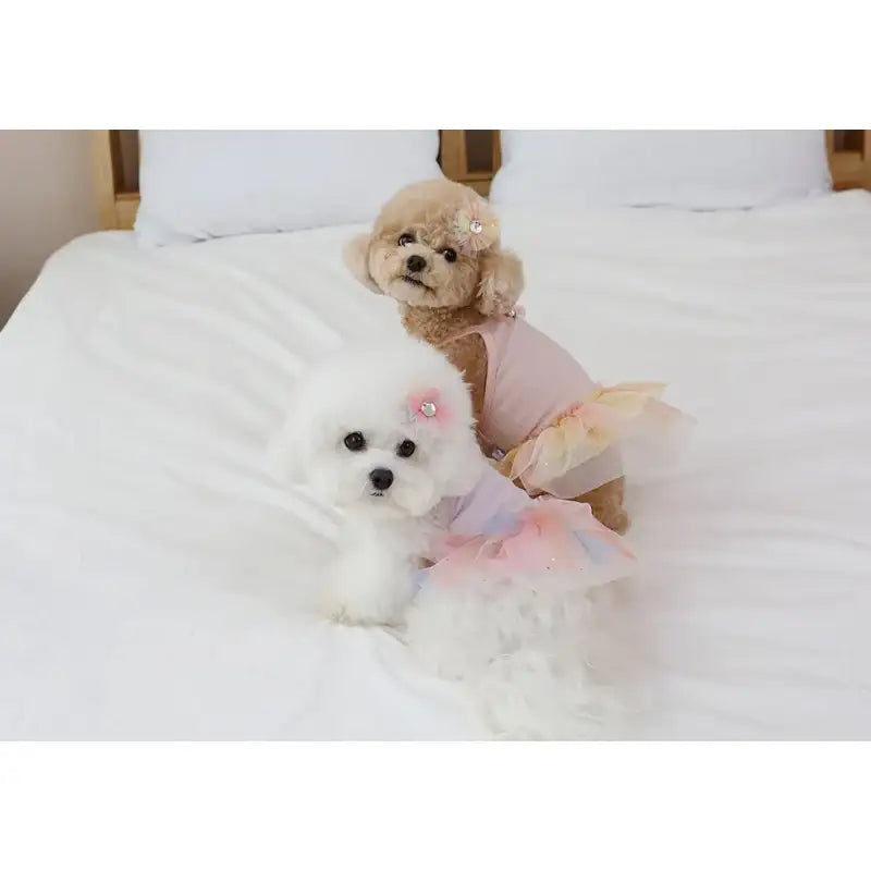 ITSDOG - Pet Ballerina Dress - ITSDOG - Pet Clothes - Harumio