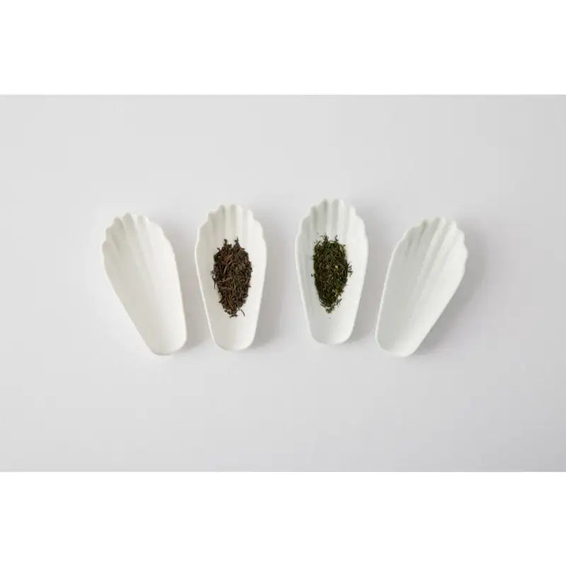 Chaora - Seashell Tea Scoop - Chaora - Tableware - Harumio