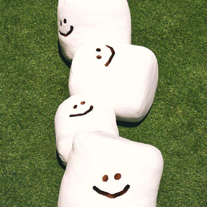 Dinotaeng - Giant Marsh on the field Cushion - Dinotaeng - Cushion - Harumio