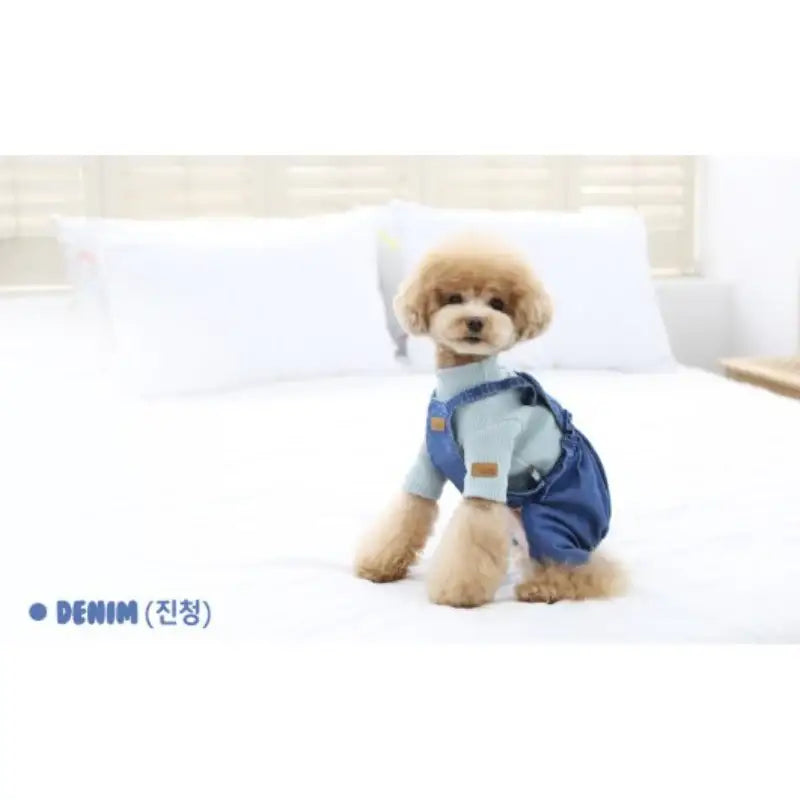 ITSDOG - Pet Denim Washing Pumpkin Pants - ITSDOG - Pet Clothes - Harumio