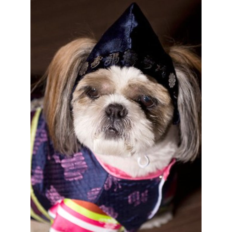 ITSDOG - Pet Male Hanbok Hat