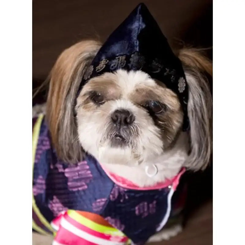 ITSDOG - Pet Male Hanbok Hat - ITSDOG - Pet Accesories - Harumio