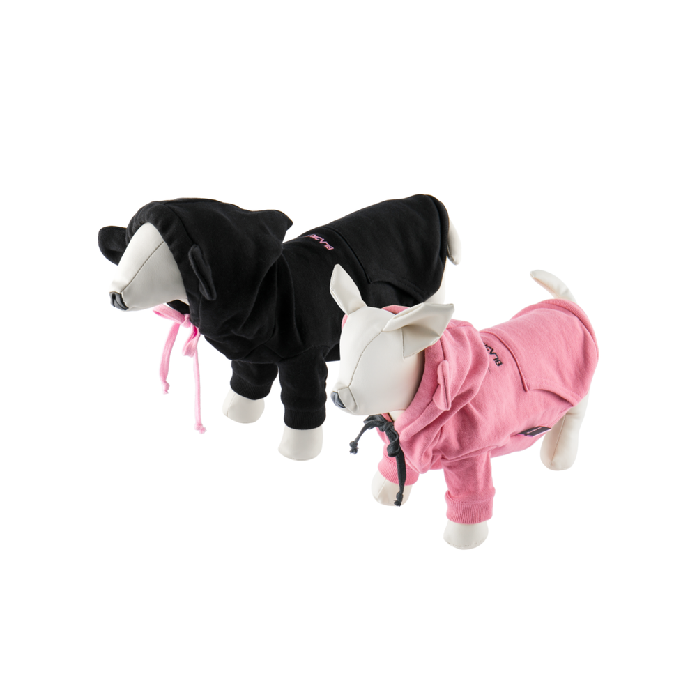 BlackPink - In Your Area Pet Hoodie