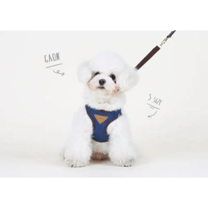 ITSDOG - Pet Harness - ITSDOG - Pet Accesories - Harumio
