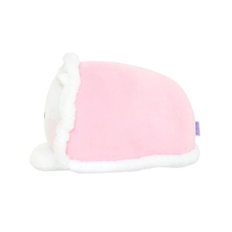 BT21 - Minini Cozy Cushion