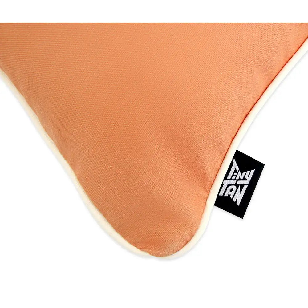 BTS - TinyTAN Tinymart Snack Time Cushion - BTS TinyTAN - Home & Living, Accessories - Harumio