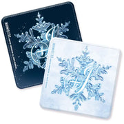 Destiny Child - Fabulous+ Logo Leather Coaster - Destiny Child - Home & Living, Accessories - Harumio