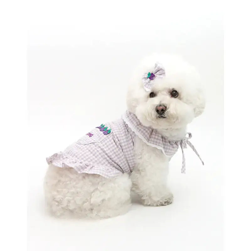 ITSDOG - Pet Fruit Bong Bong Hairpin - ITSDOG - Pet Accesories - Harumio