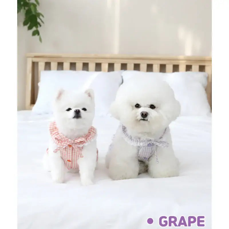 ITSDOG - Pet Fruit Bong Bong Dress - ITSDOG - Pet Clothes - Harumio