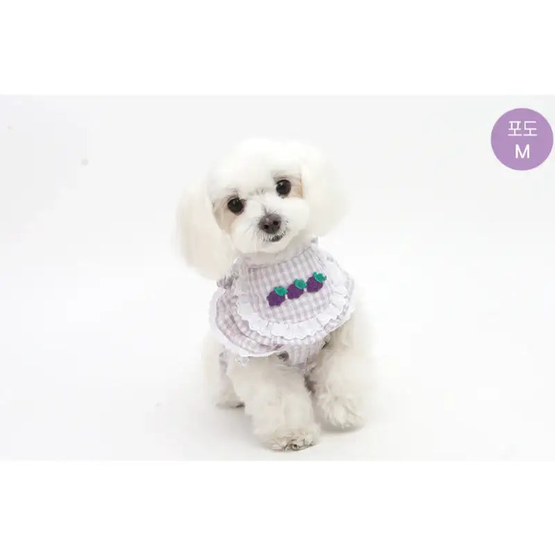 ITSDOG - Pet Fruit Bong Bong Scarf - ITSDOG - Pet Accesories - Harumio