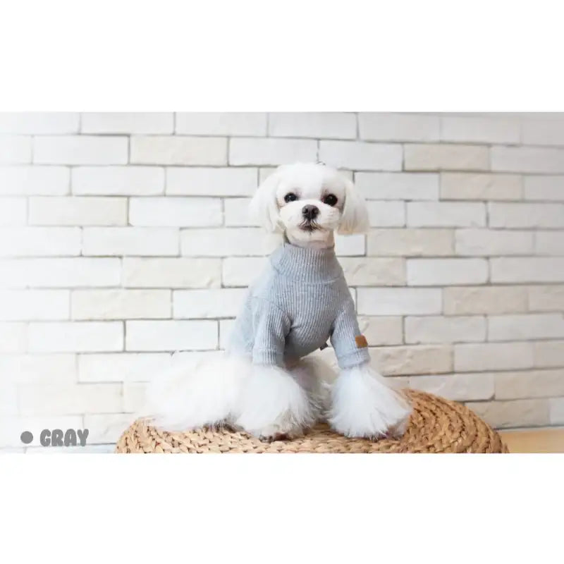 ITSDOG - Pet Milk Jelly T-Shirt - ITSDOG - Pet Clothes - Harumio