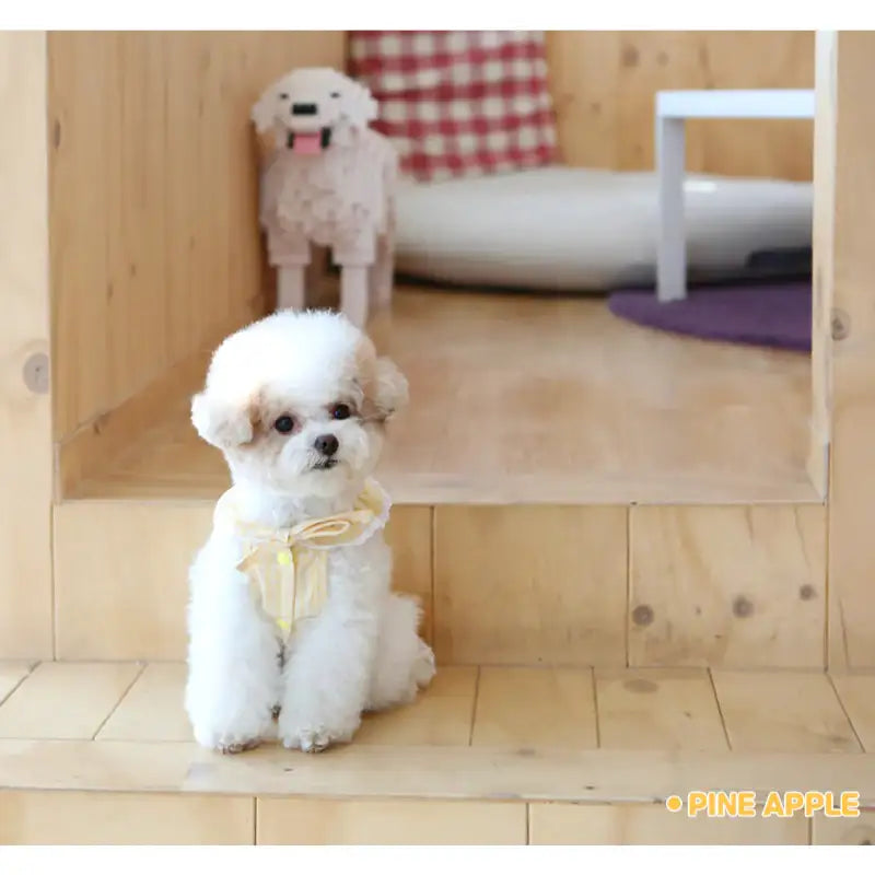 ITSDOG - Pet Fruit Bong Bong Dress - ITSDOG - Pet Clothes - Harumio