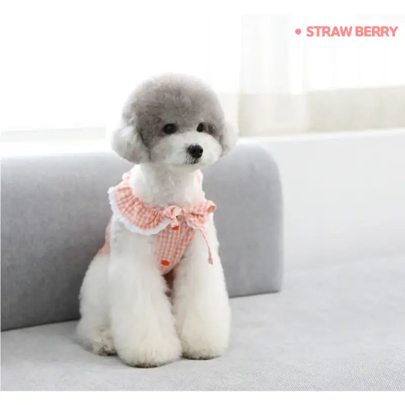 ITSDOG - Pet Fruit Bong Bong Dress - ITSDOG - Pet Clothes - Harumio