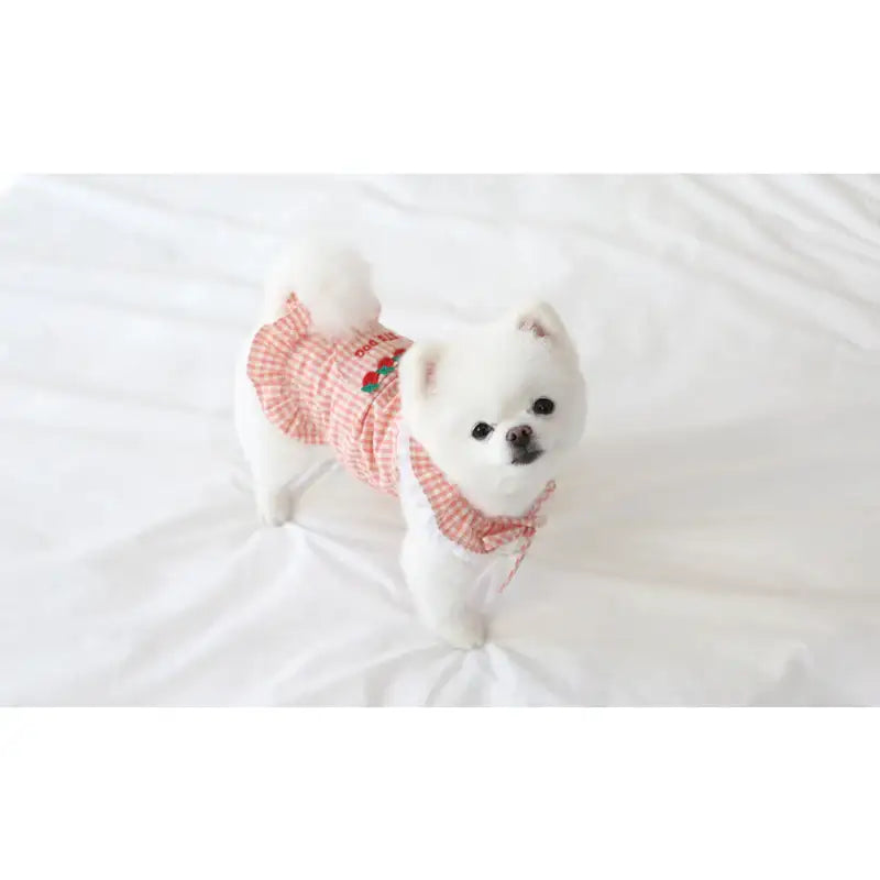 ITSDOG - Pet Fruit Bong Bong Dress - ITSDOG - Pet Clothes - Harumio