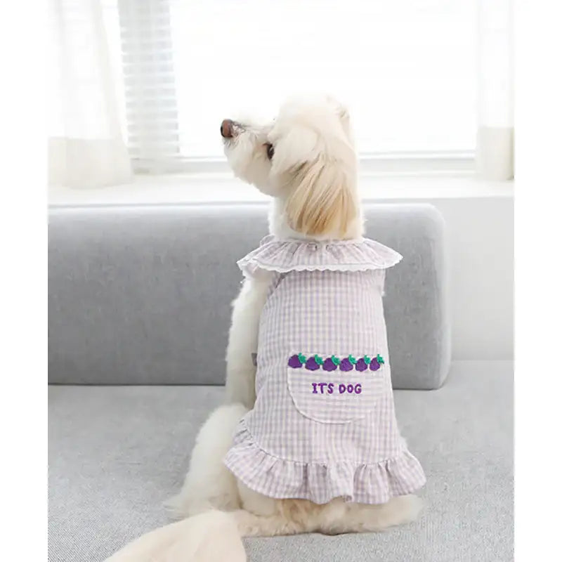 ITSDOG - Pet Fruit Bong Bong Dress - ITSDOG - Pet Clothes - Harumio