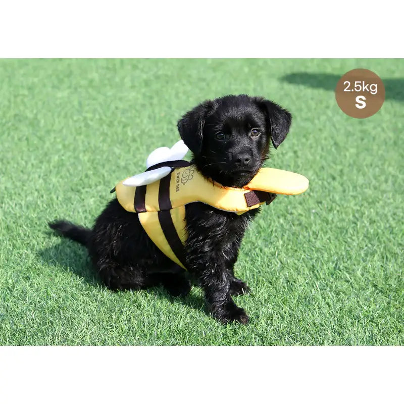 ITSDOG - Pet Life Jacket - ITSDOG - Pet Clothes - Harumio