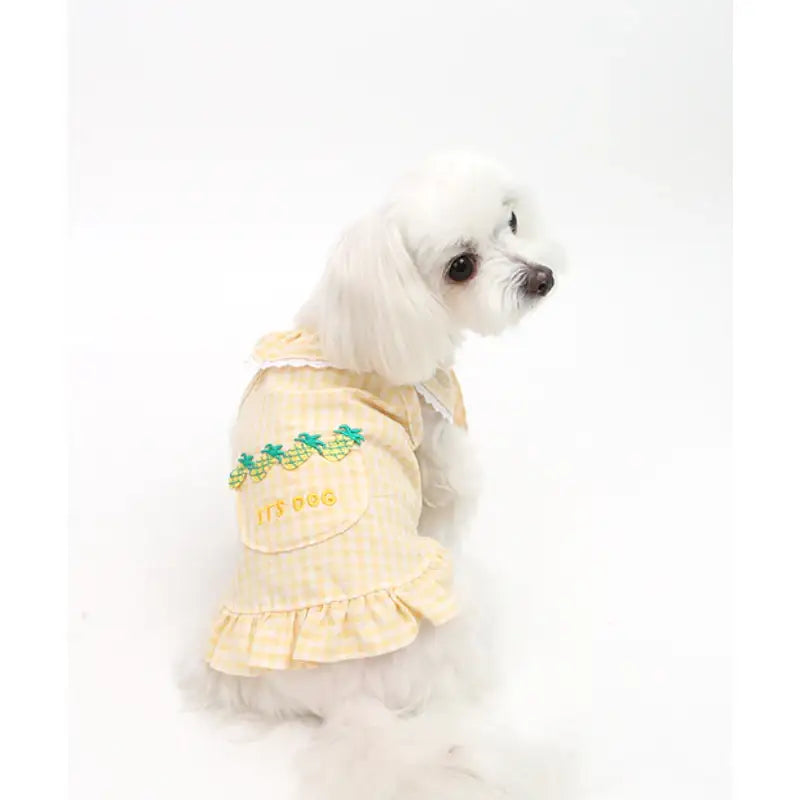 ITSDOG - Pet Fruit Bong Bong Dress - ITSDOG - Pet Clothes - Harumio