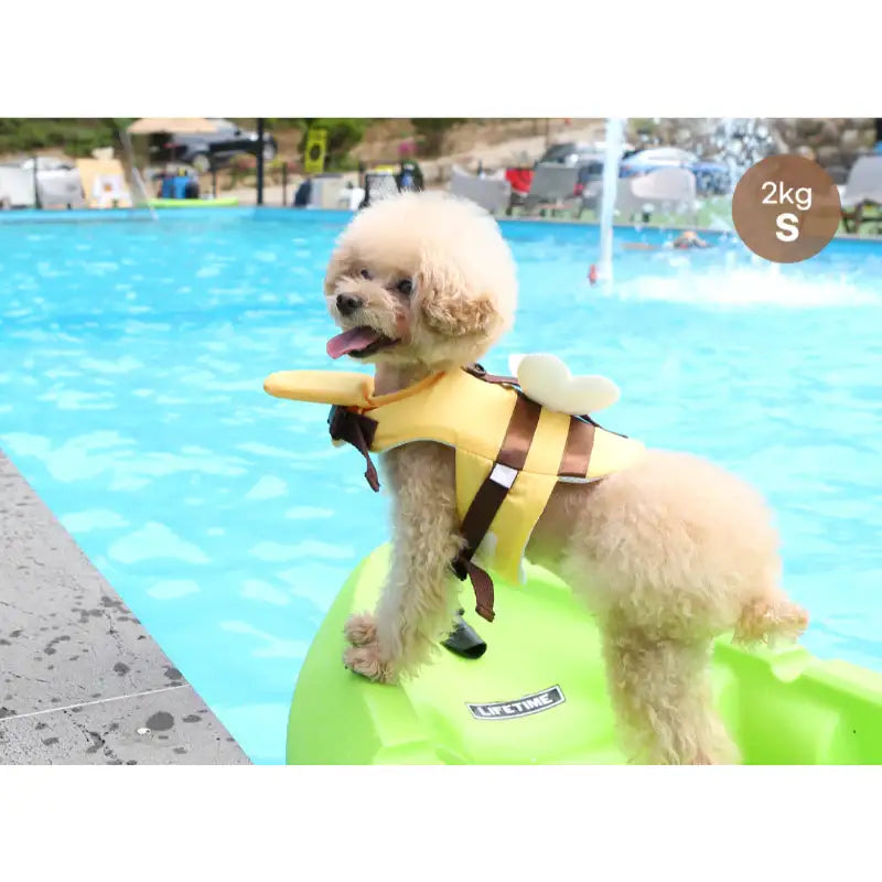 ITSDOG - Pet Life Jacket - ITSDOG - Pet Clothes - Harumio