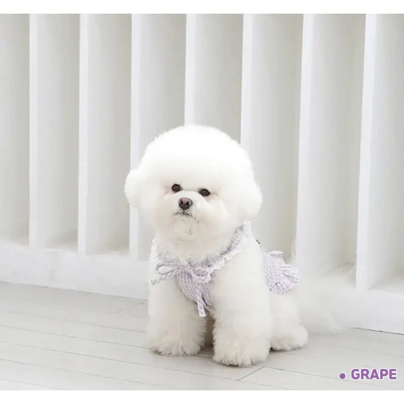 ITSDOG - Pet Fruit Bong Bong Dress - ITSDOG - Pet Clothes - Harumio