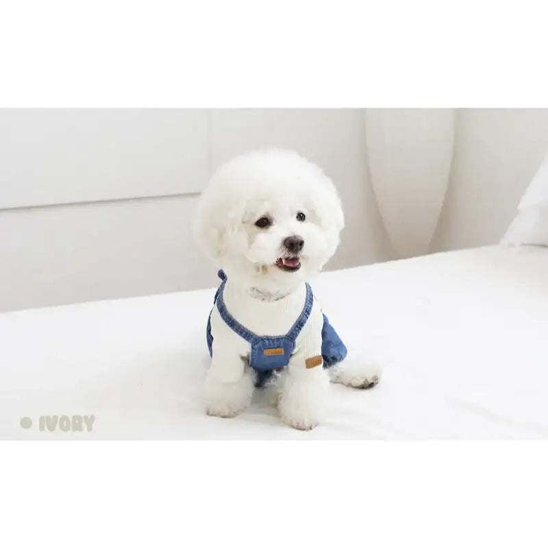 ITSDOG - Pet Milk Jelly T-Shirt - ITSDOG - Pet Clothes - Harumio