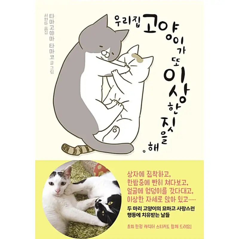 My Cat Is Doing Weird Things Again - Novel - Haksan Cultural History - Novel - Harumio