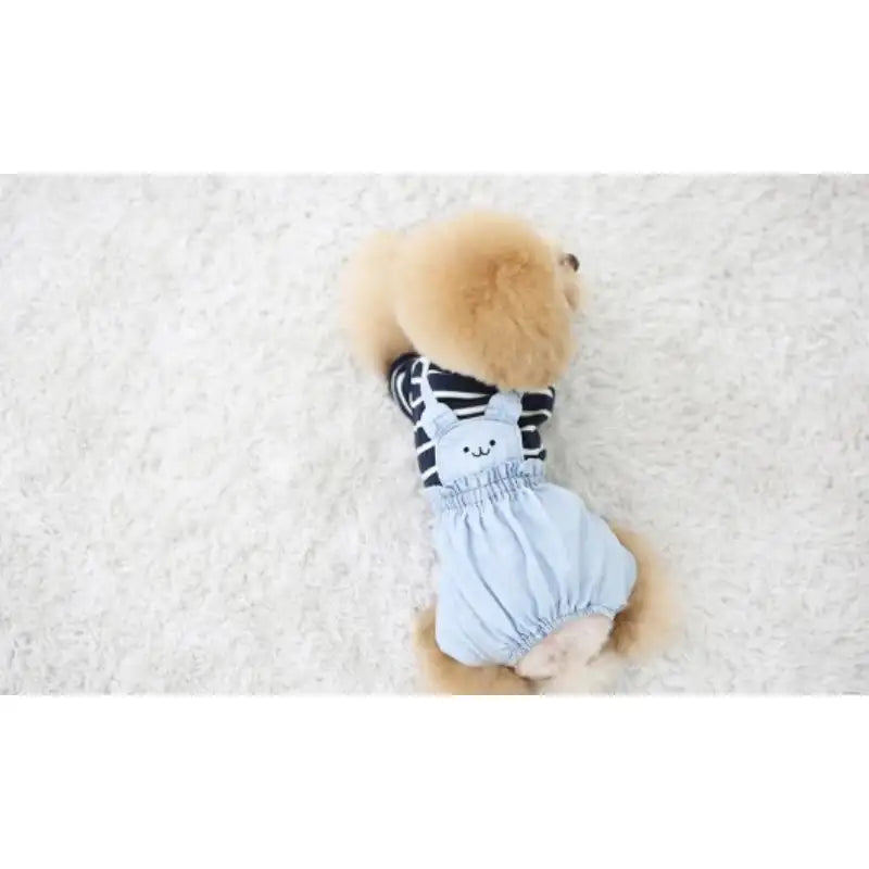 ITSDOG - Pet Denim Washing Pumpkin Pants - ITSDOG - Pet Clothes - Harumio