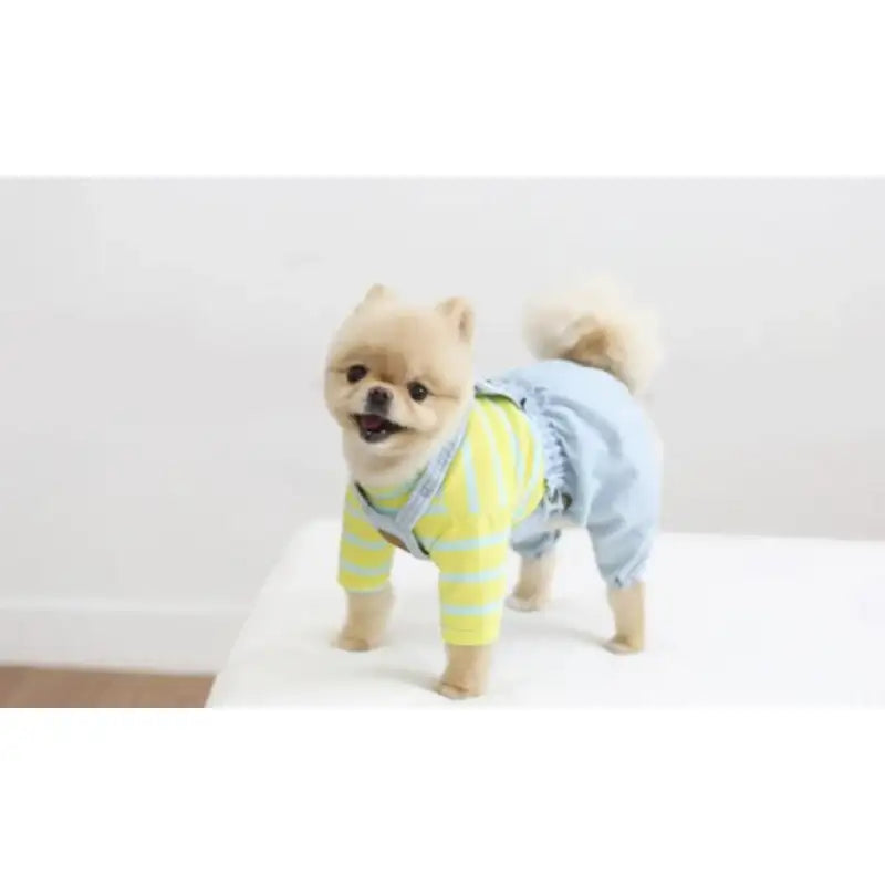 ITSDOG - Pet Denim Washing Pumpkin Pants - ITSDOG - Pet Clothes - Harumio