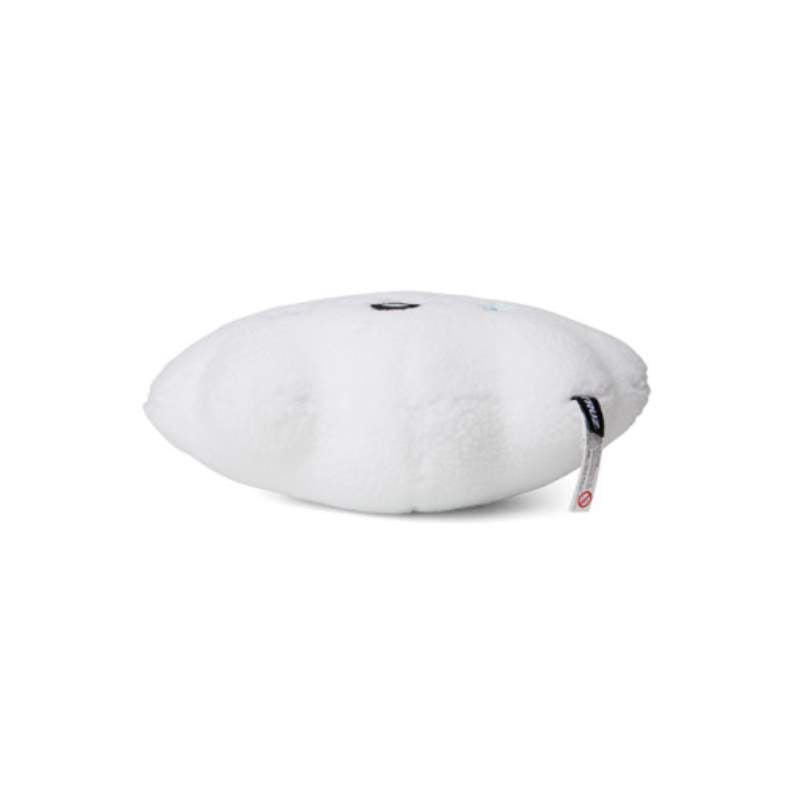 Line Friends - Truz Face Cushion