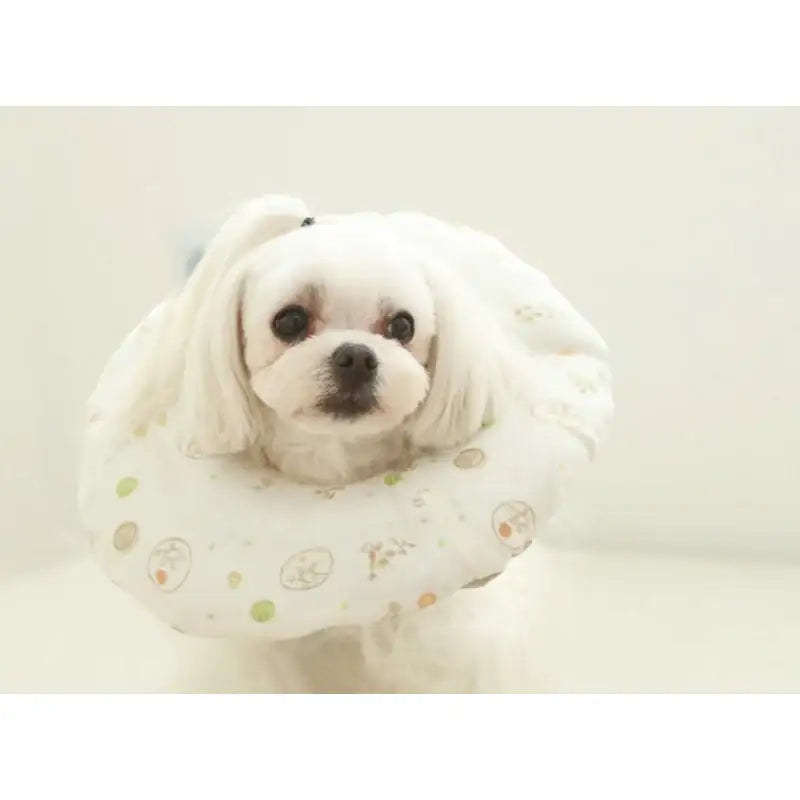 ITSDOG - Pet Organic Neck Collar - ITSDOG - Pet Accesories - Harumio