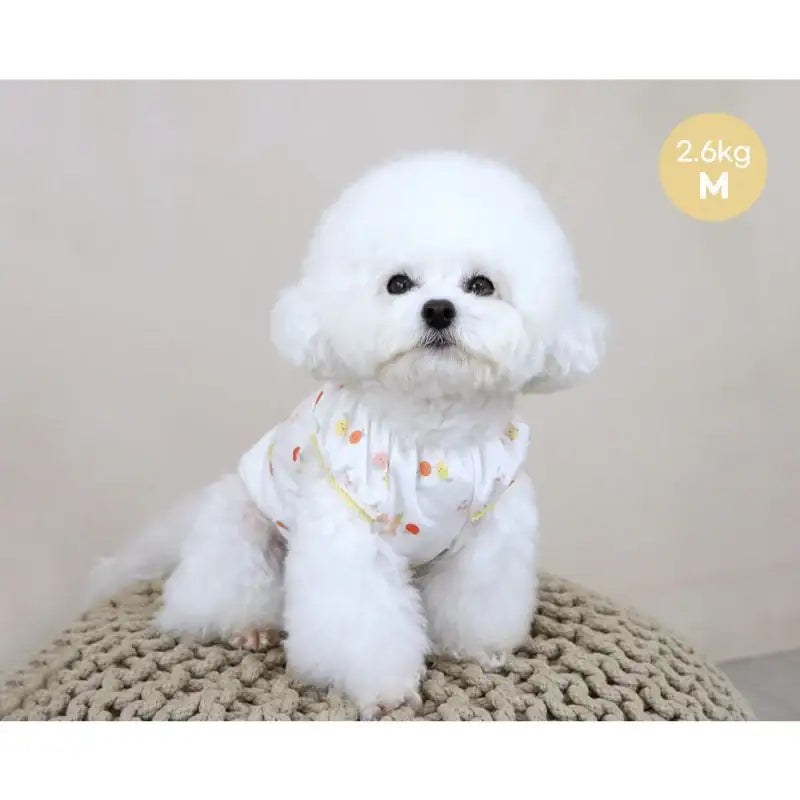 ITSDOG - Pet Friends Puff T-Shirt - ITSDOG - Pet Clothes - Harumio
