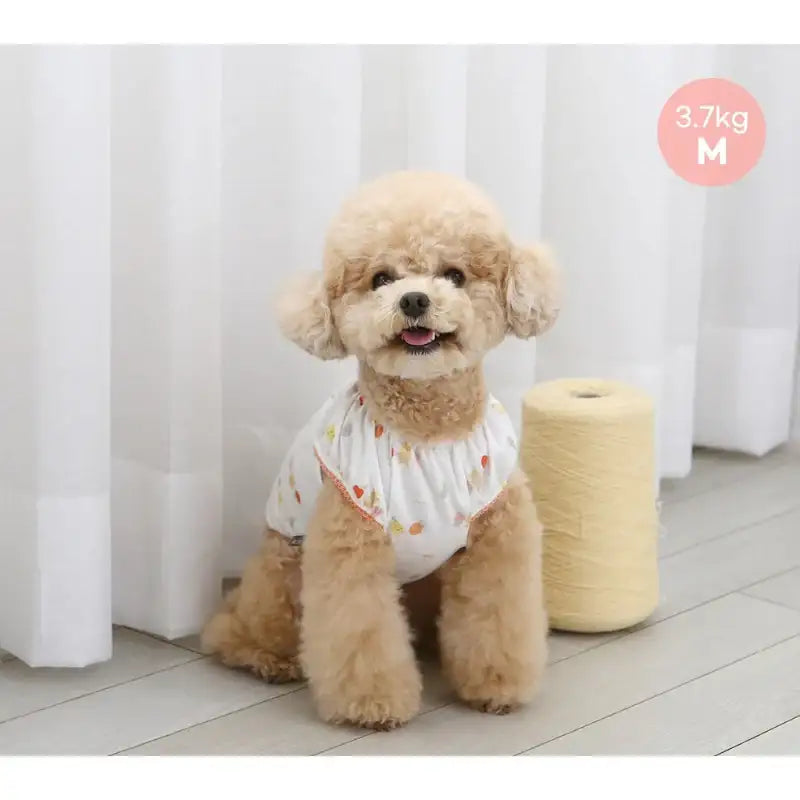ITSDOG - Pet Friends Puff T-Shirt - ITSDOG - Pet Clothes - Harumio
