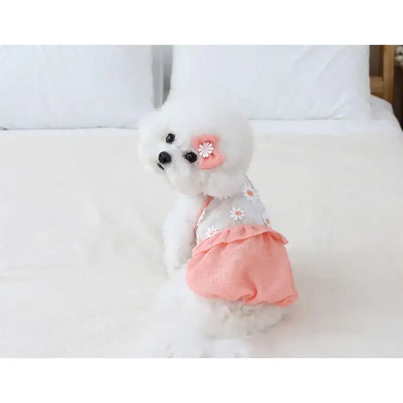 ITSDOG - Pet Daisy Balloon T-Shirt - ITSDOG - Pet Clothes - Harumio