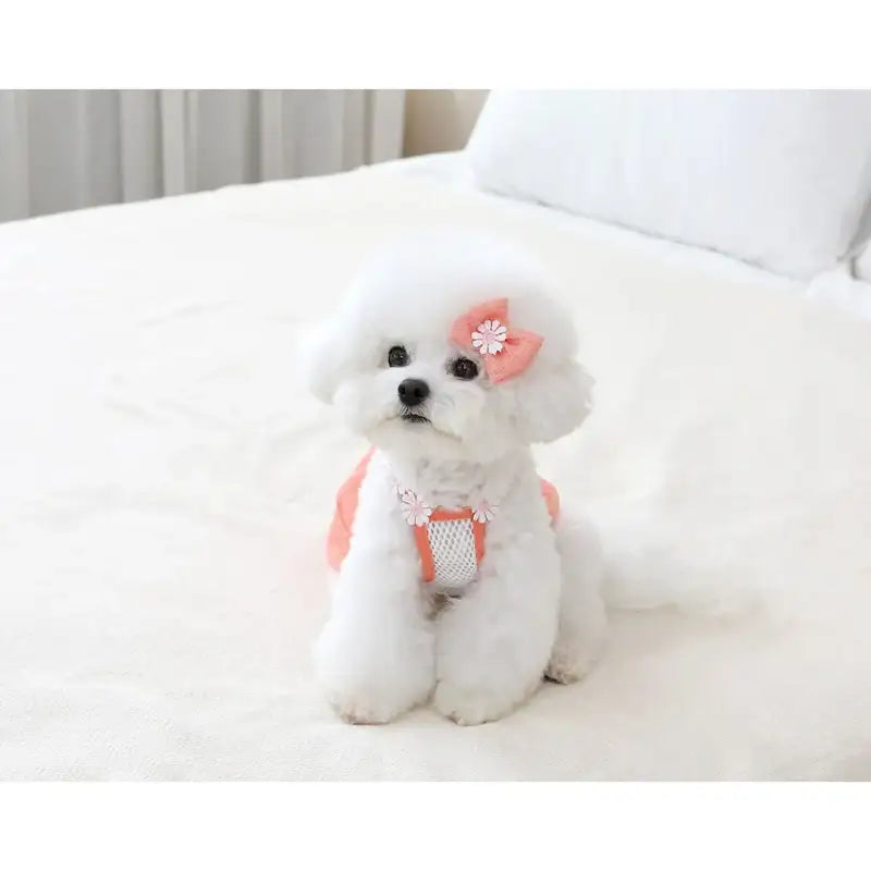 ITSDOG - Pet Daisy Balloon T-Shirt - ITSDOG - Pet Clothes - Harumio