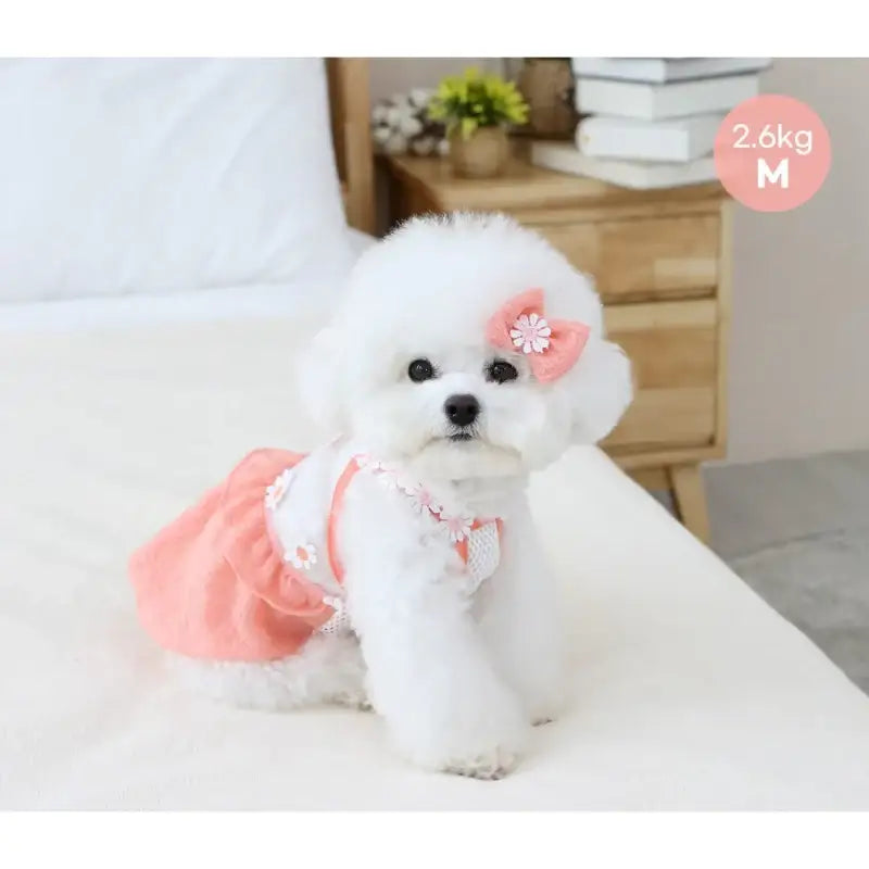 ITSDOG - Pet Daisy Balloon T-Shirt - ITSDOG - Pet Clothes - Harumio