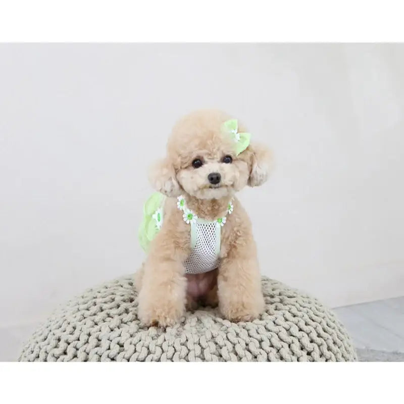 ITSDOG - Pet Daisy Balloon T-Shirt - ITSDOG - Pet Clothes - Harumio