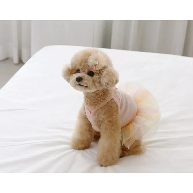 ITSDOG - Pet Ballerina Dress - ITSDOG - Pet Clothes - Harumio