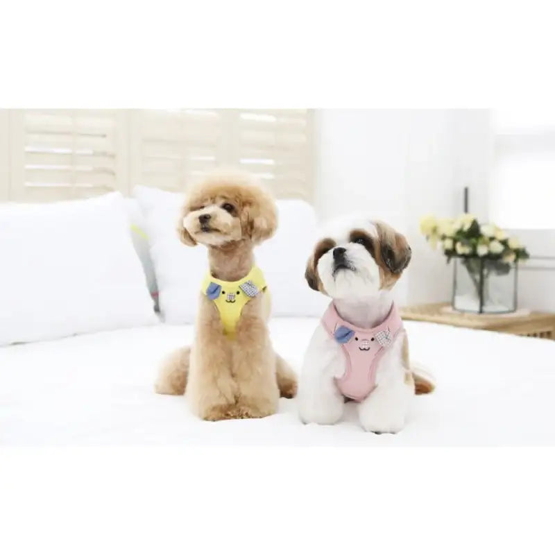 ITSDOG - Pet Harness - ITSDOG - Pet Accesories - Harumio
