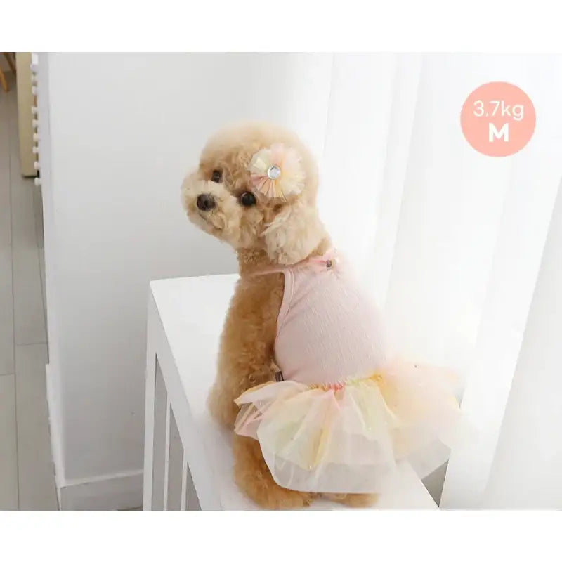 ITSDOG - Pet Ballerina Dress - ITSDOG - Pet Clothes - Harumio