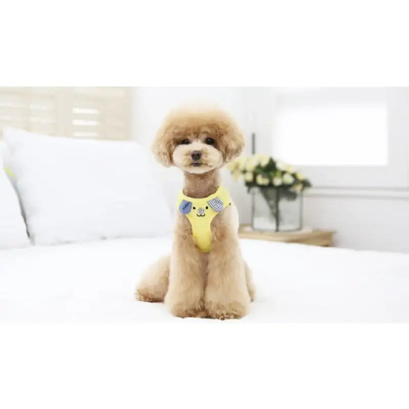 ITSDOG - Pet Harness - ITSDOG - Pet Accesories - Harumio